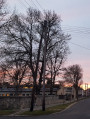 Szombathely