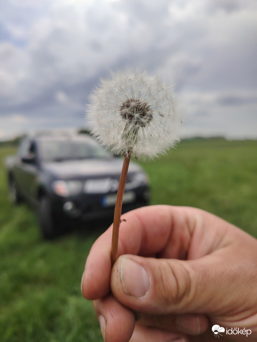 Virágot a virágnak :)