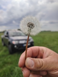 Virágot a virágnak :)