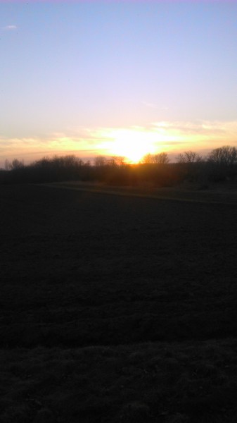 Kutyasétáltatás közben készült kép :)