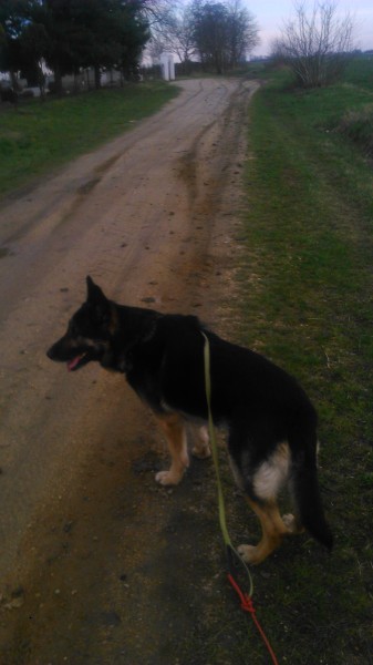 Miatta kell járnom napi szinten a határt!!!