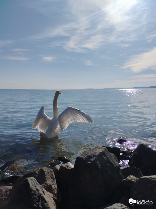 Balatonakarattya