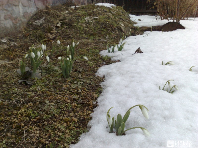 Tavasz??