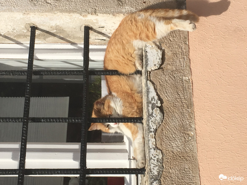 ‘Lóg a lába, ...’ :D