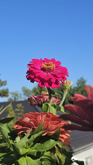 Budapest II.ker - Törökvész