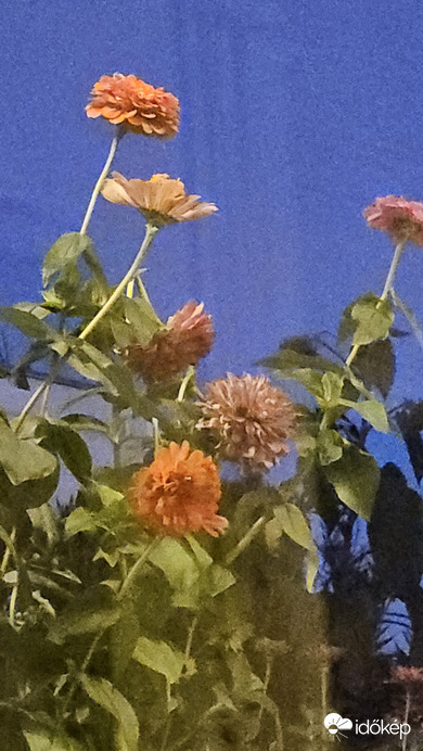 Budapest II.ker - Törökvész