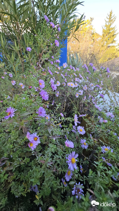 Budapest II.ker - Törökvész