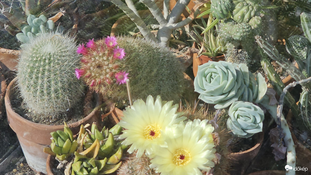 Budapest II.ker - Törökvész