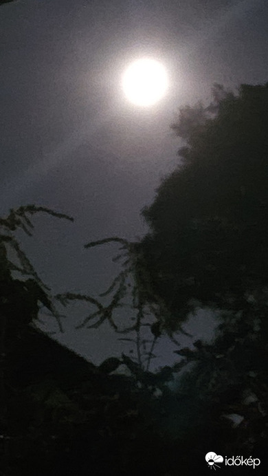 Budapest II.ker - Törökvész