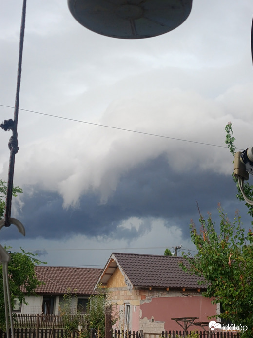 Monorierdő