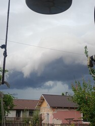 Monorierdő