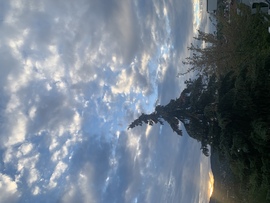 Budapest II.ker - Törökvész