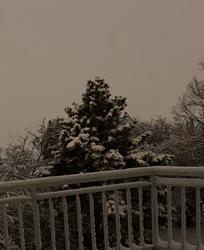 Budapest II.ker - Törökvész