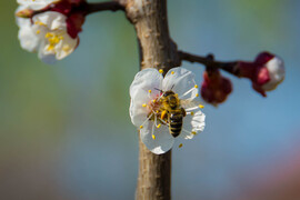 Küldetés teljesítve 