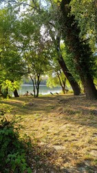 Szigetmonostor