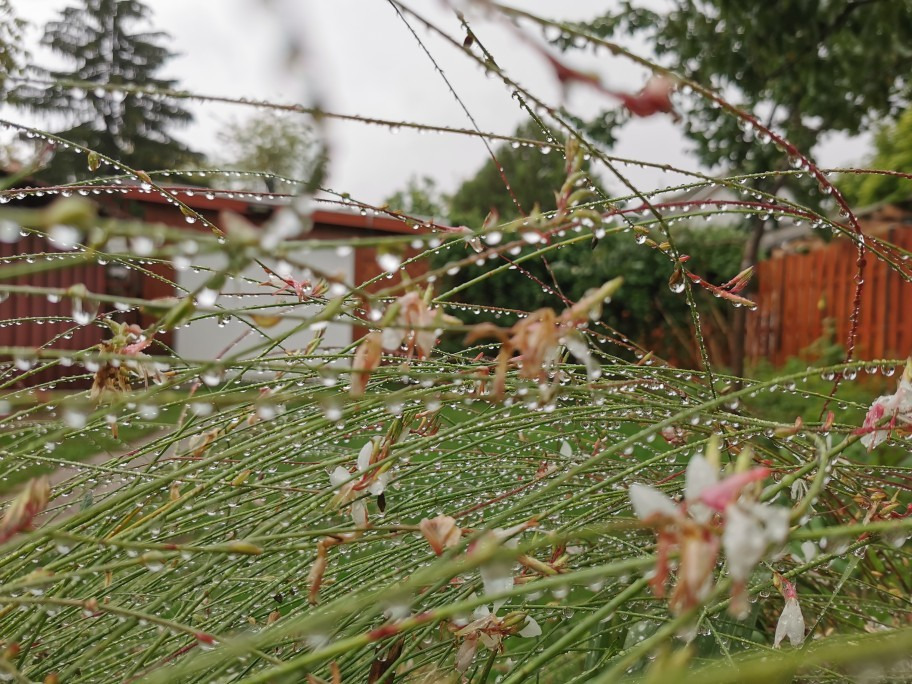 Budapest XIX.ker - Kispest