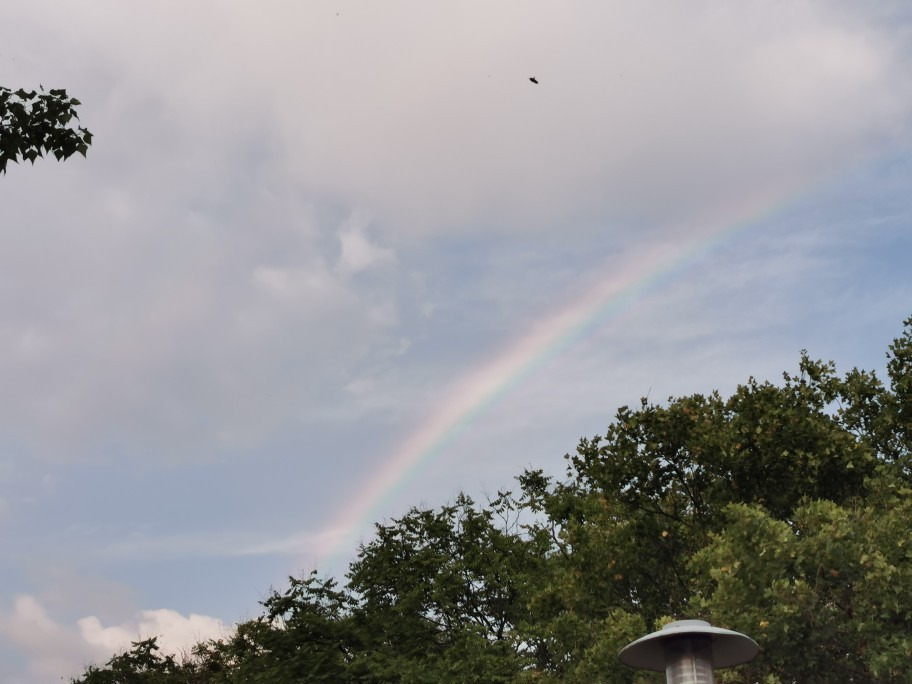 Budapest XX.ker - Pesterzsébet