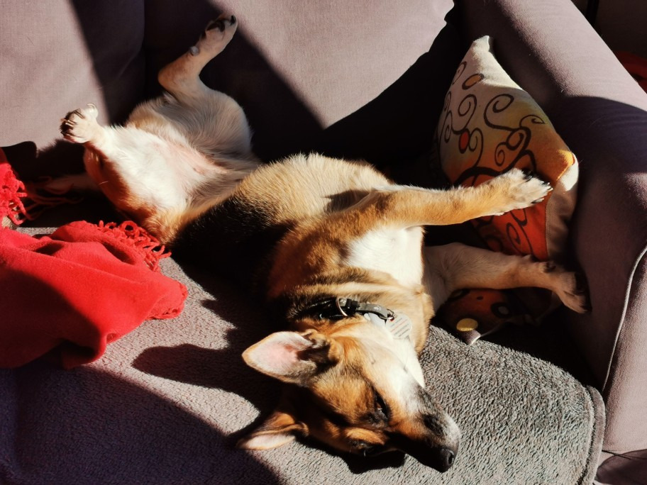 Budapest XIX.ker - Kispest