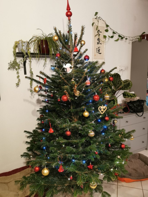 Budapest XIX.ker - Kispest