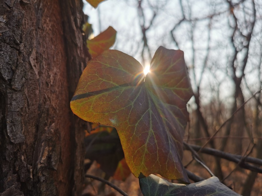 Budapest XIX.ker - Kispest