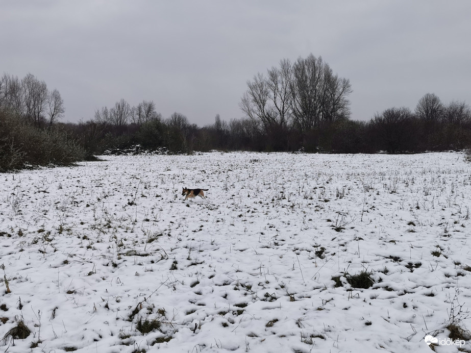 Budapest XX.ker - Pesterzsébet