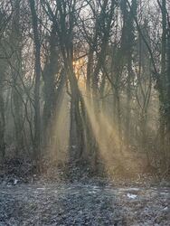 Budapest XIX.ker - Kispest