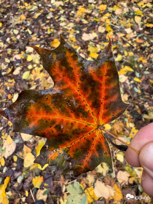 Budapest XIX.ker - Kispest