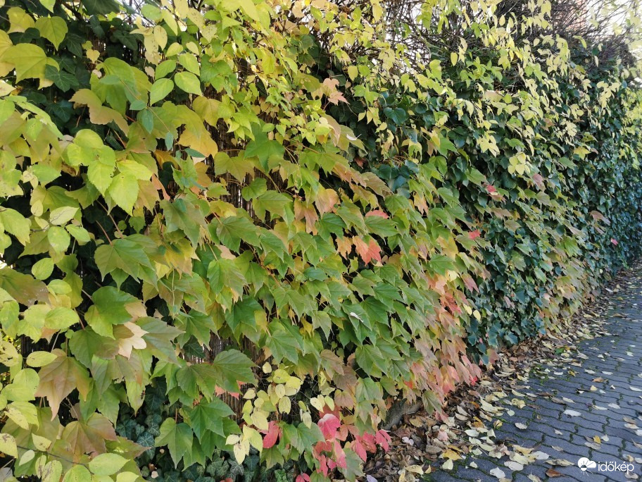 Budapest XIX.ker - Kispest