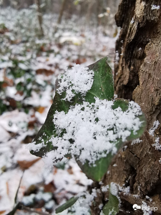 Budapest XIX.ker - Kispest