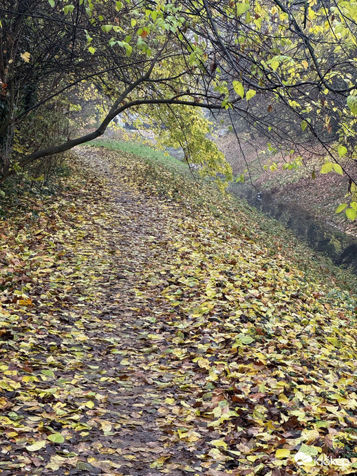 Budapest XIX.ker - Kispest
