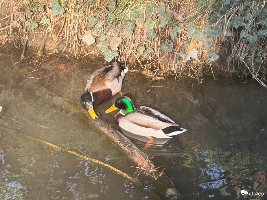 Budapest XIX.ker - Kispest