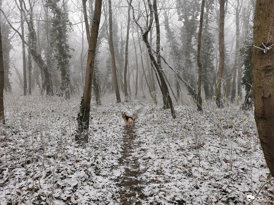 Budapest XIX.ker - Kispest