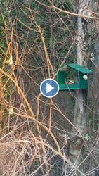 Budapest XIX.ker - Kispest