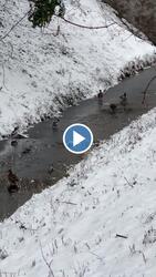 Budapest XIX.ker - Kispest