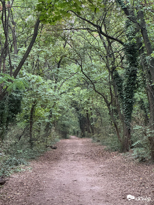 Budapest XIX.ker - Kispest