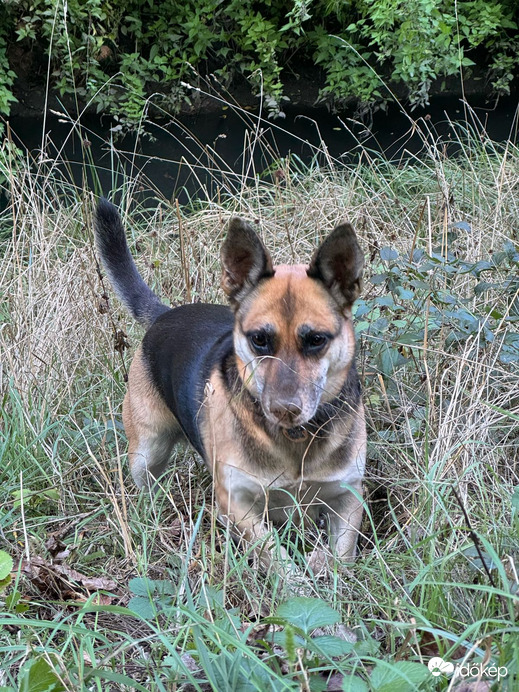 Budapest XIX.ker - Kispest