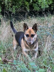 Budapest XIX.ker - Kispest