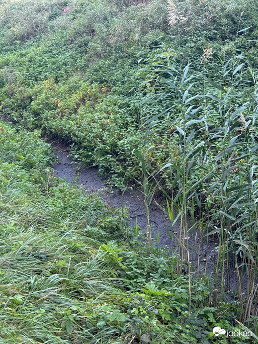 Budapest XIX.ker - Kispest