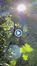 Budapest XIX.ker - Kispest