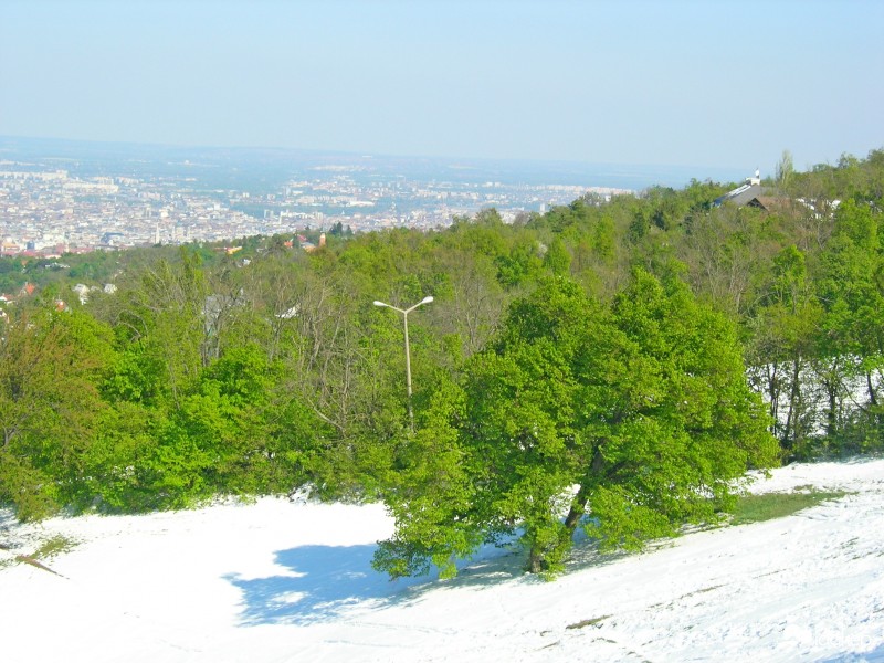 Normafa 2.