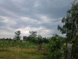 Gacsály