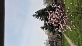 Érd-Parkváros