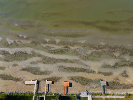 Homokpadok Balatonboglárnál