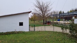 Szár