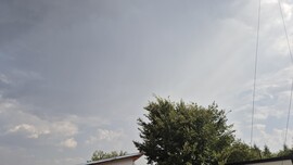 Szár