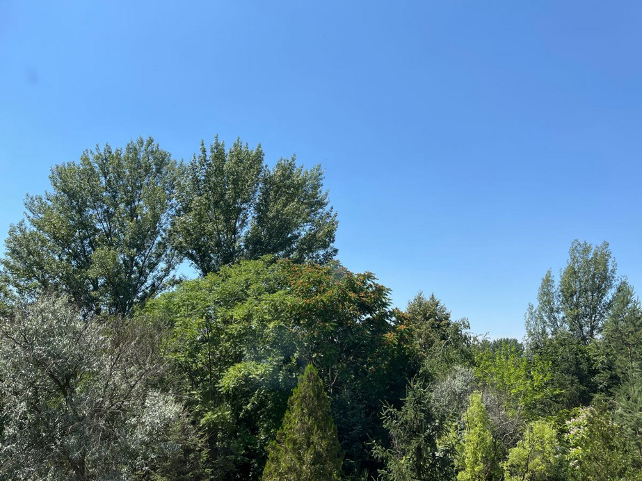 Dunakeszi