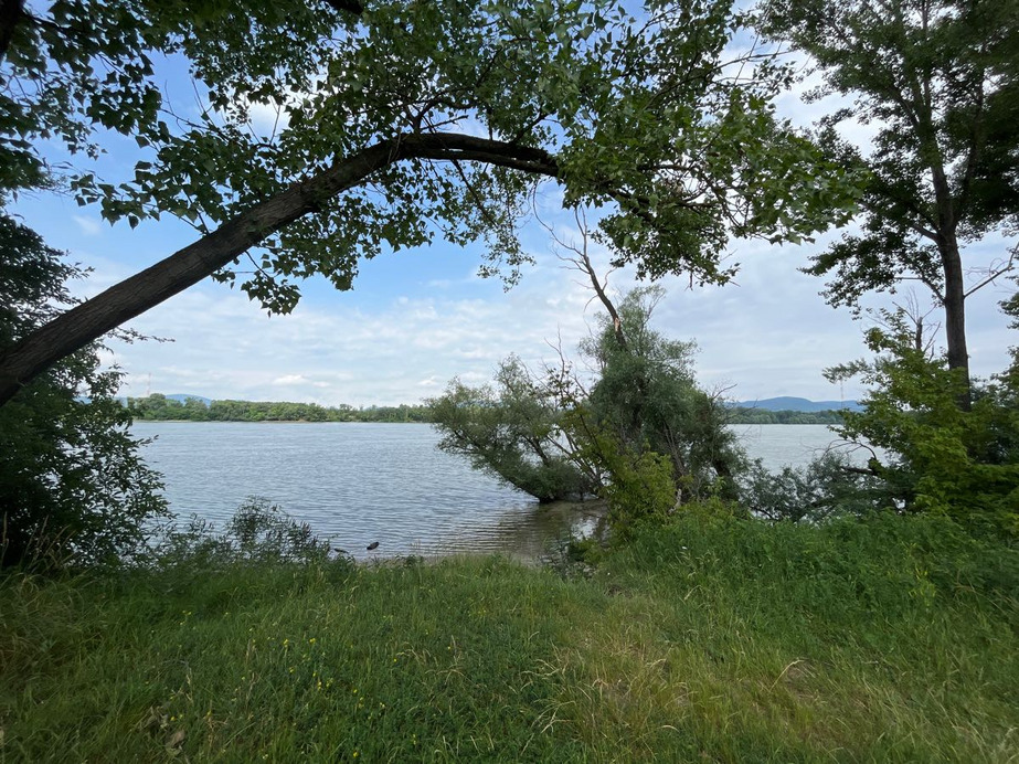 Dunakeszi