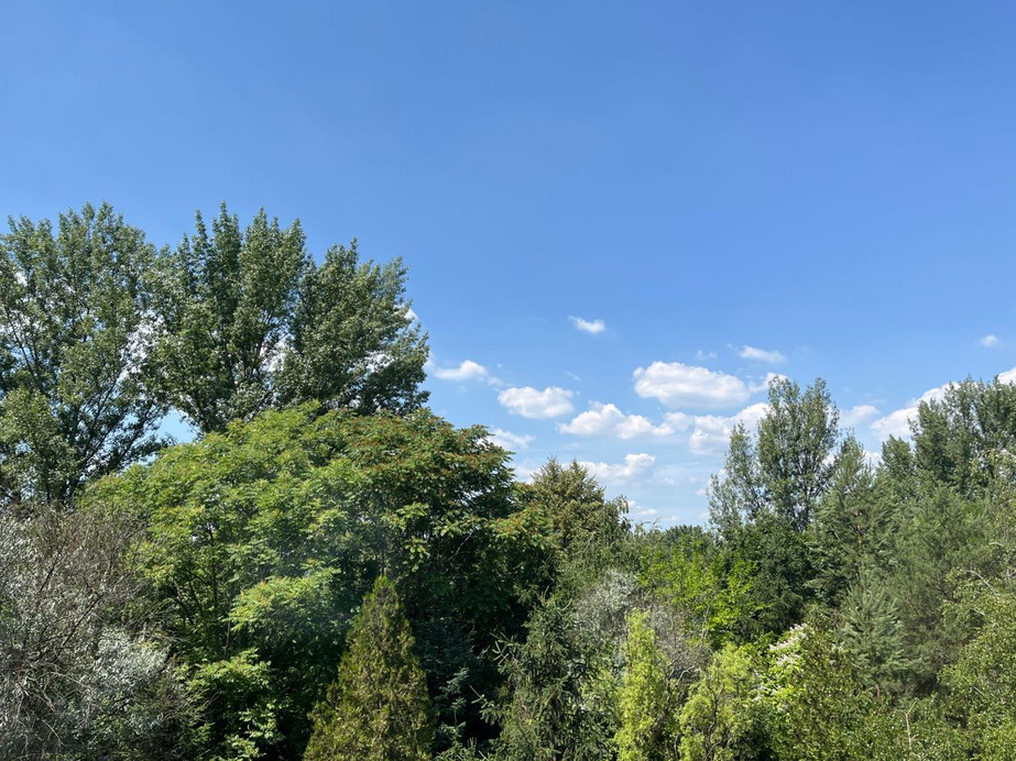 Dunakeszi