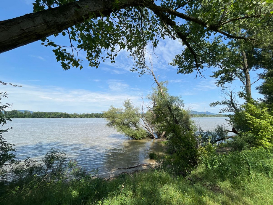 Dunakeszi