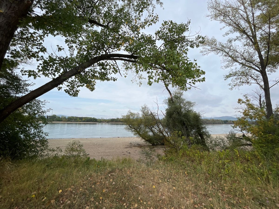 Dunakeszi